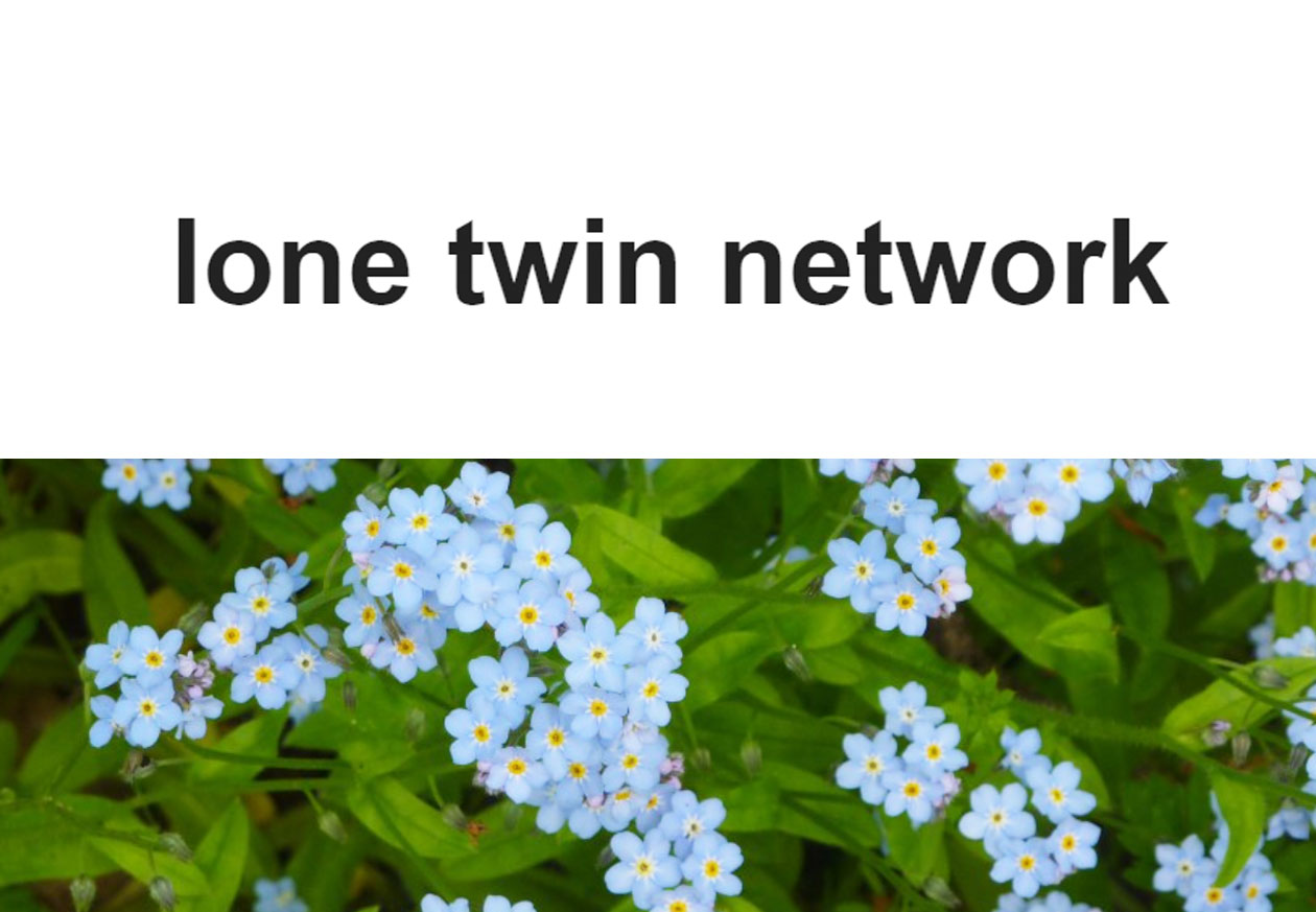 Lone Twin Network